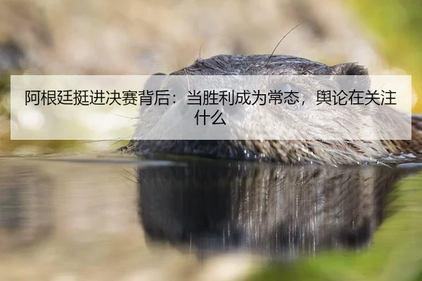 a-gen-ting-ting-jin-jue-sai-bei-hou-dang-sheng-li-cheng-wei-chang-tai-yu-lun-zai-guan-zhu-shen-me-1-602.jpg